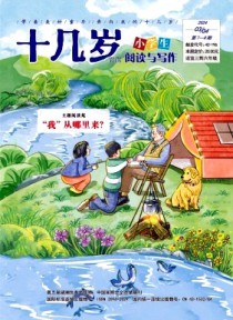 十几岁